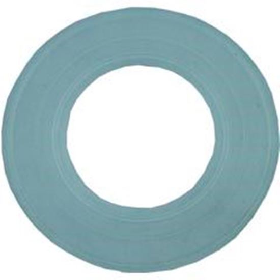 Picture of Light Gasket Pentair Aqualuminator 79116800 