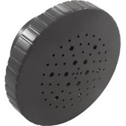 Picture of Rain Spa Jet Internal 1-1/2" Dark Gray 23315-307-000 