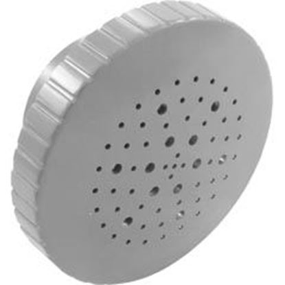 Picture of Rain Spa Jet Internal 1-1/2" Gray 23315-301-000 