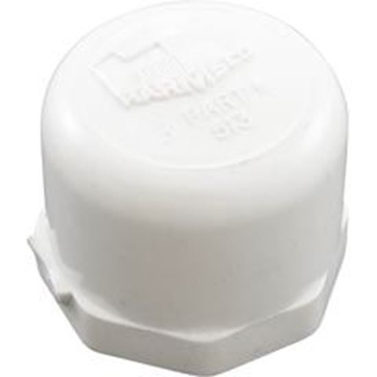 Picture of Pipe Cap Harmsco Betterfilter Series 513 