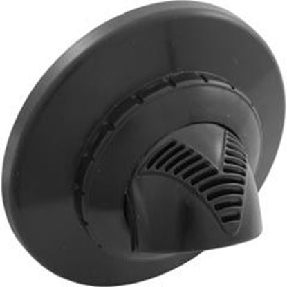 Picture of Inlet Fitting Infusion Vent. 1" Insider Gluelessw/Flgblk Vrfsaf1Bk 
