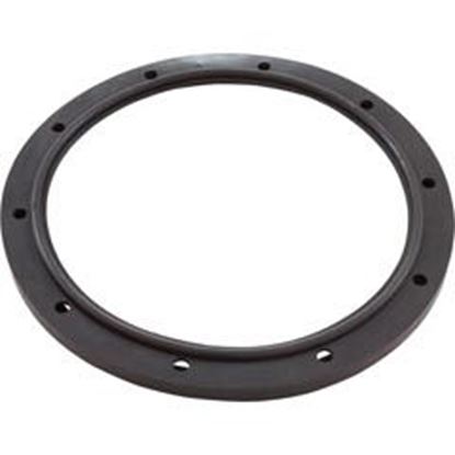 Picture of Gasket Sta-Rite/Swimquip Pool Light Lens Generic  90-423-2050