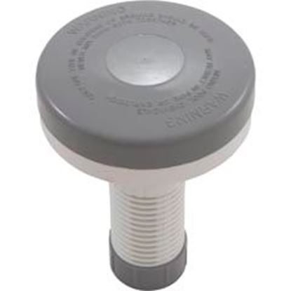 Picture of Floating Spa Chlorinator Gray/White 27051-009-000 