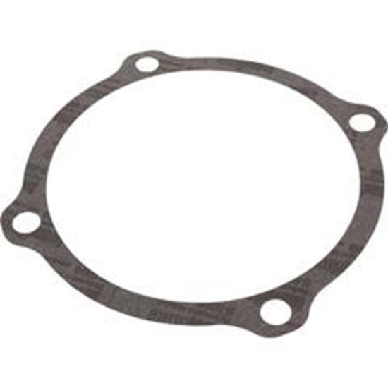 Picture of Gasket Pentair S04757