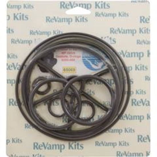 Picture of Valve Rebuild Kit 69 Pent/Praher 1-1/2" Multiport Valve 65069 