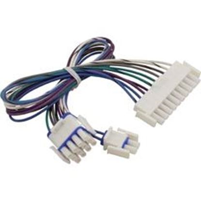 Picture of Adapter Cable Gecko In.Stream 2 To In.Stream 1 9920-401425 
