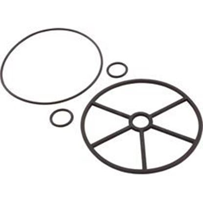 Picture of Gasket Astral Selector Valve 1-1/2" 5 Spokes 4404120107 