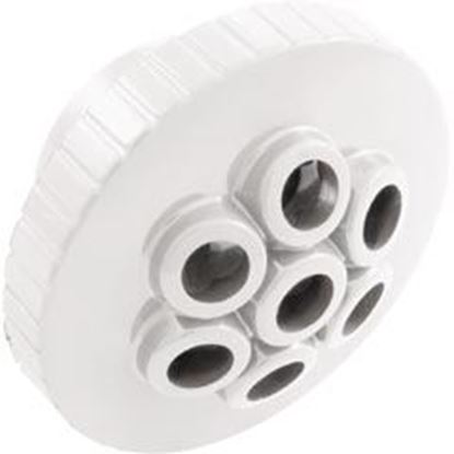 Picture of Massage Spa Jet Internal 1-1/2" White 23315-240-000 