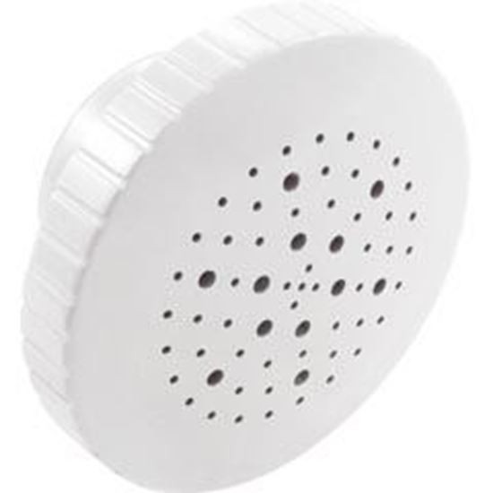 Picture of Rain Massage Spa Jet Internal 1-1/2" White 23315-340-000 