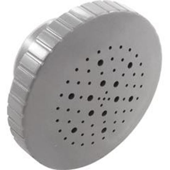 Picture of Rain Massage Spa Jet Internal 1-1/2" Gray 23315-341-000 