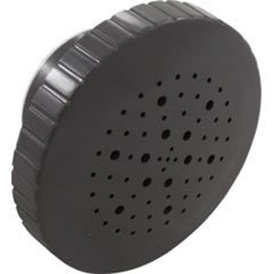 Picture of Rain Massage Spa Jet Internal 1-1/2"Dark Gray 23315-347-000 