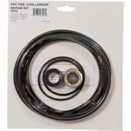 Picture of Pump O-Ring Kit Generic Challenger W/ Seal  90-538-2005