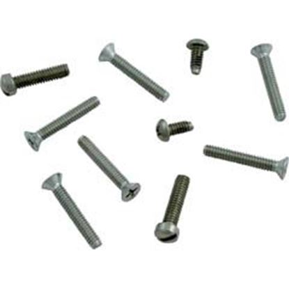 Picture of Light Niche Screw Set Pentair Aqualight Stainless Steel 79205500 