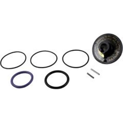 Picture of Rebuild Kit Zodiac Jandy Slide Valve R0442100 