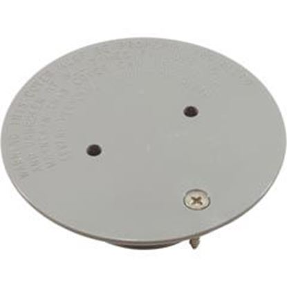 Picture of Floor Inlet Fitting Cover Wth Screw Gray 25527-101-100 