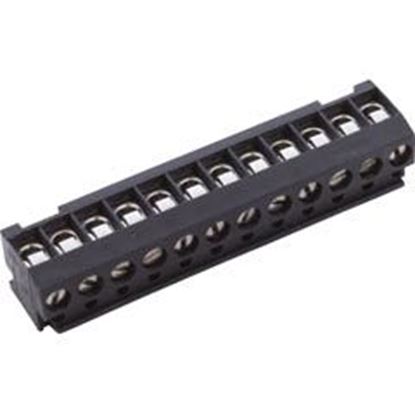Picture of Terminal Block Pentair Compool 12 Position 8023312 