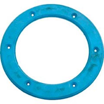 Picture of Light Niche Ring Gasket Sta Rite Small 05166-0002 