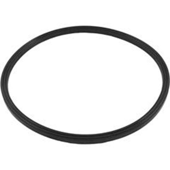 Picture of Quad Ring Zodiac Jandy Js60-Sm/Js100-Sm Tank Lid R0487400 