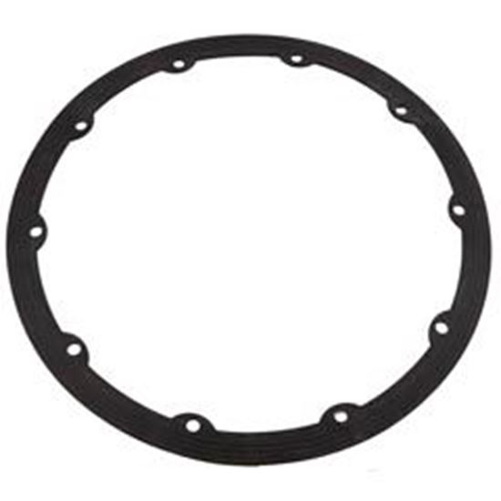 Picture of Gasket Pentair Quickniche 10-Hole 630025Z 