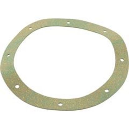 Picture of Gasket Pentair Sta-Rite Vinyl/Starguard Main Drain Body 07017-0079 