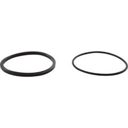 Picture of Trap Lid Seal Zodiac Jandy Phpf With O-Ring R0449100 