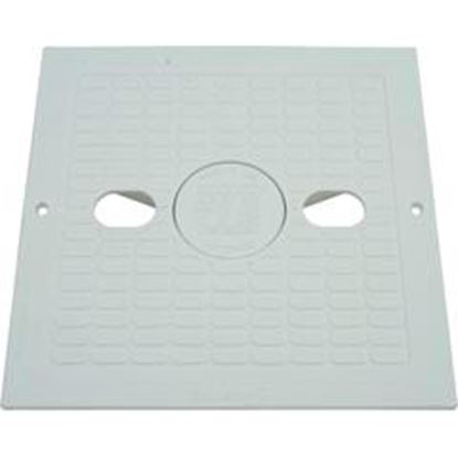 Picture of Skimmer Lid Waterway Renegade 10" X 10" Square 540-6490Ww 