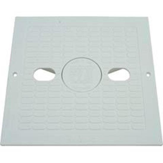 Picture of Skimmer Lid Waterway Renegade 10" X 10" Square 540-6490Ww 