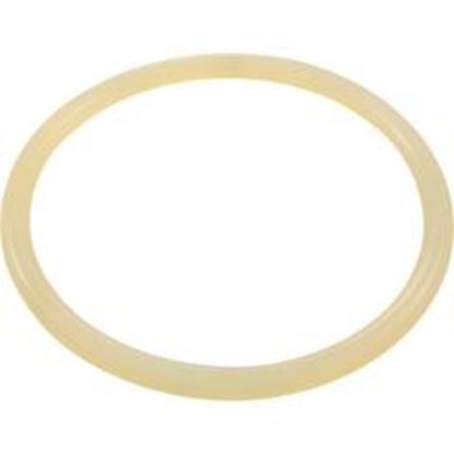 Picture of O-Ring Buna-N Astral Aster Filter Lid 7401700120 