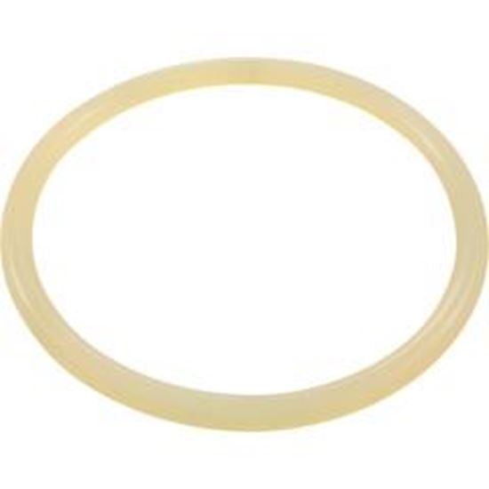 Picture of O-Ring Buna-N Astral Aster Filter Lid 7401700120 