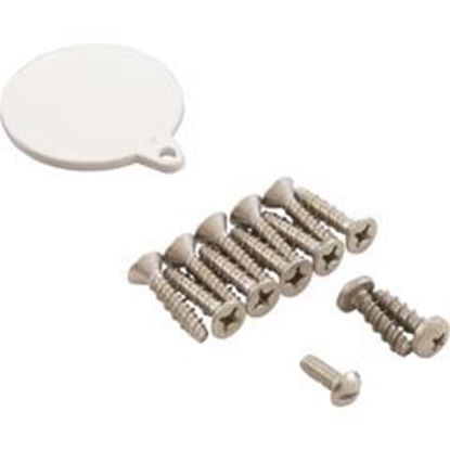 Picture of Skimmer Screw Kit Pentair/American Products Fas 85009700 