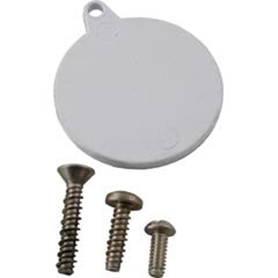 Picture of Skimmer Screw Kit Pentair/American Products Fas Extra Long 85009800 