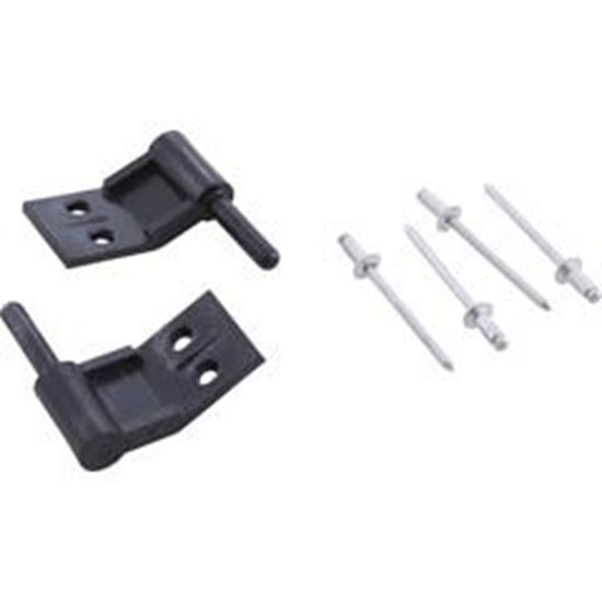 Picture of Power Center Hinge Pins Pentair Compool Quantity Of 2 Lxpin 