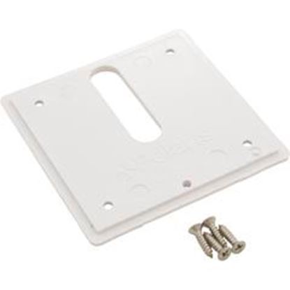 Picture of Jandy Pro Series Minijet Cover Plate Screws White Mj6300 