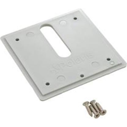 Picture of Jandy Pro Series Minijet Cover Plate Screws Dove Gray Mj6320 