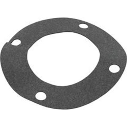 Picture of Gasket Pentair C-Series Flange 070943 