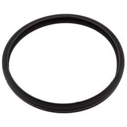 Picture of Gasket Sta-Rite Sunbrite/Sunglow Light Lens 05501-0005Z 