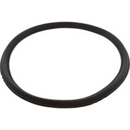 Picture of Gasket Rim 11" Harmsco 550 O-290 