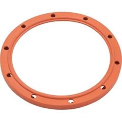 Picture of Gasket Swimquip Pool Light Silicone Extra Heavy Duty Lpl-G-S 