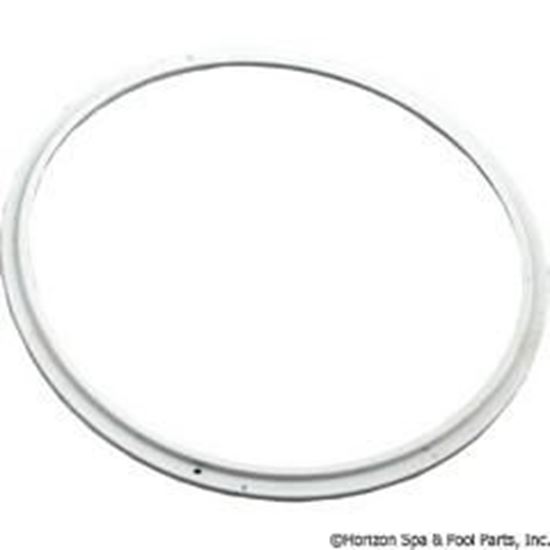 Picture of Light Lens Seal American Products Aqualumin/Ii Silicone 78880200 