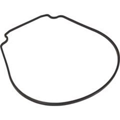Picture of Gasket Waterco Hydrostar Seal Plate 634070 