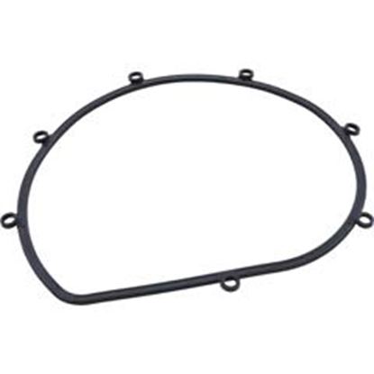 Picture of Gasket Speck 21-80 All Models Seal Plate 2923141010 
