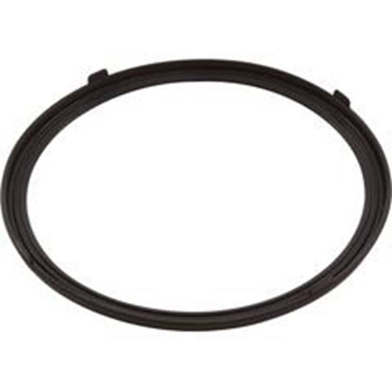 Picture of Gasket Pentair Aqualumin Iii Light Lens 619599Z 