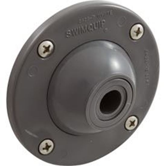 Picture of Eyeball Inlet Pentair 1-1/4" Gunite Gray 08428-0001B 