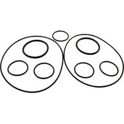 Picture of O-Ring Kit Zodiac Polaris Caretaker Valve 5-13-1 