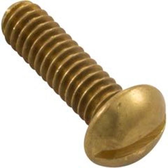 Picture of Screw 1/4"-20 X 1" Pan Slot Ss  99-555-6305