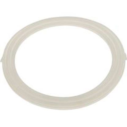 Picture of Gasket Waterway Poly Jet W/F - Old Style 711-1740 