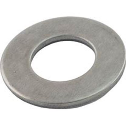 Picture of Flat Washer Waterway Clearwater 3/8" 820-0017 