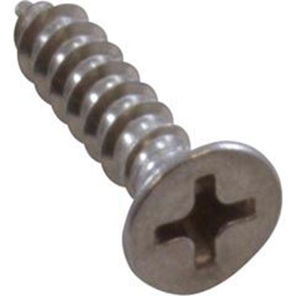 Picture of Screw Pentair Pacfab Dual Bottom Grate 8 X 3/4" 552538 