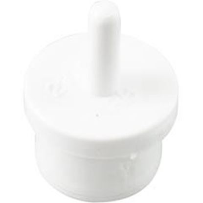 Picture of Barb Plug Cmp 3/4" Spigot 21027-000-010 