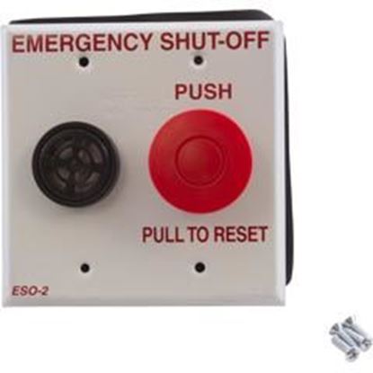Picture of Shut Off Switch Pentair Compool With Alarm Eso2 